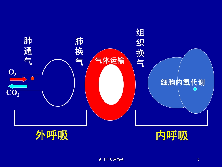 急性呼吸衰竭新培训课件.ppt_第3页