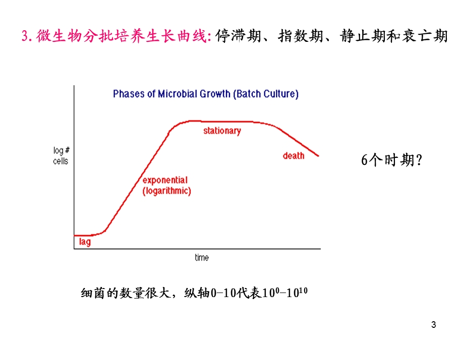 微生物的生长发育ppt课件.ppt_第3页