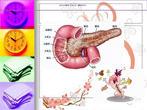 急性胰腺炎营养支持课件.ppt