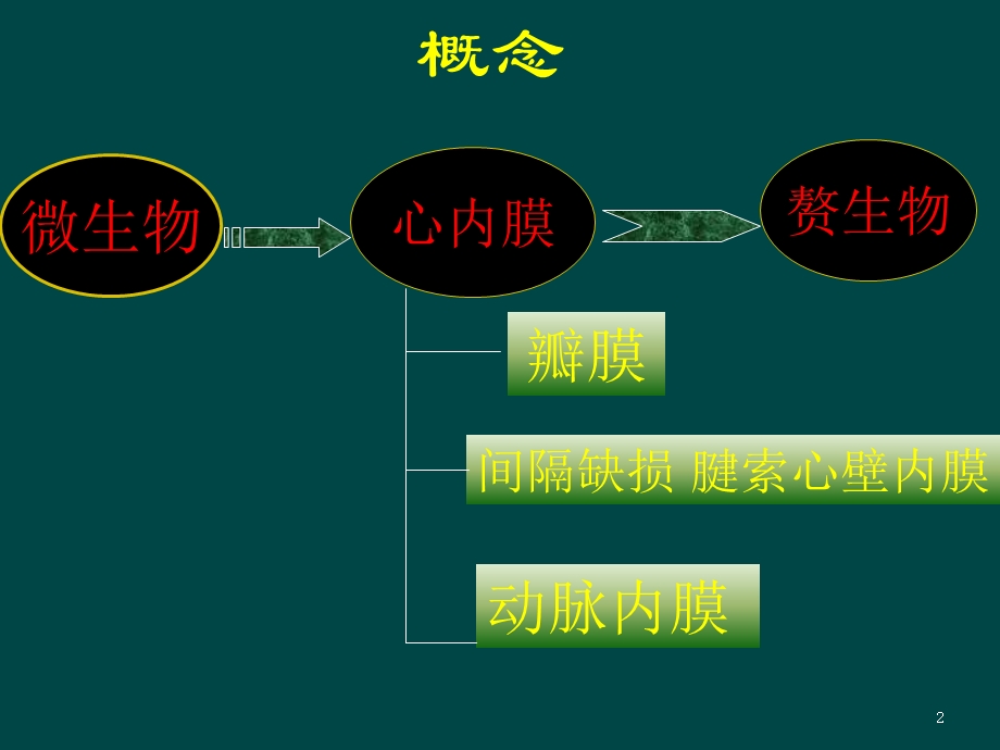 感染性心内膜炎新课件.ppt_第2页