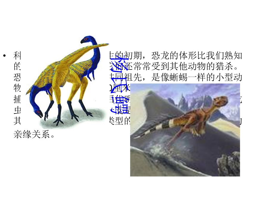 恐龙的发展 课件.pptx_第3页