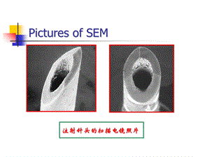 扫描电子显微镜图像分析ppt课件.ppt