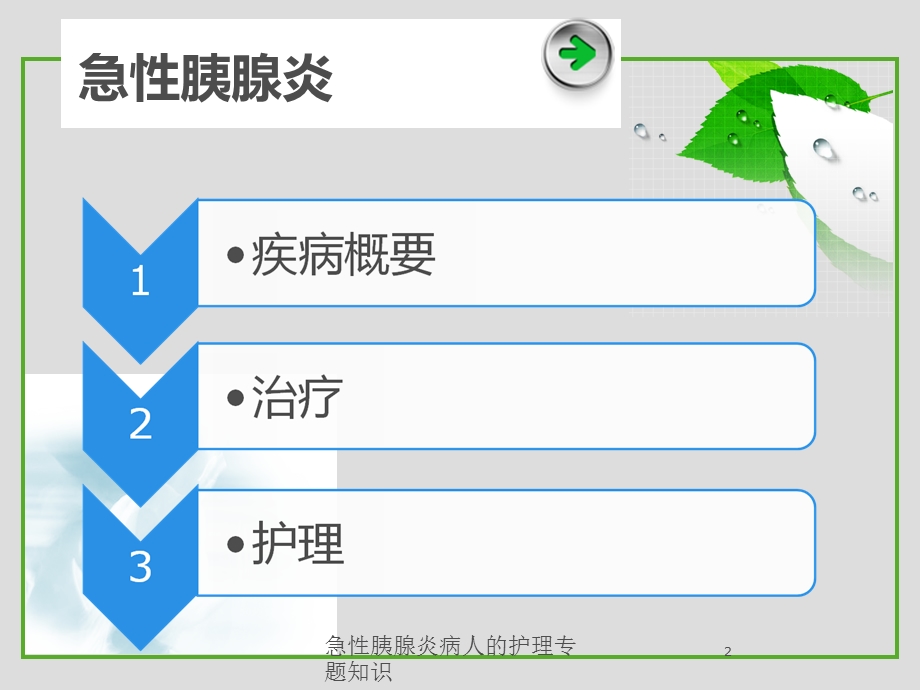 急性胰腺炎病人的护理专题知识培训课件.ppt_第2页