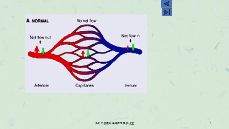 局部血液循环障碍病理学教研室课件.ppt_第1页