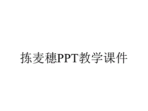 拣麦穗PPT教学课件.ppt