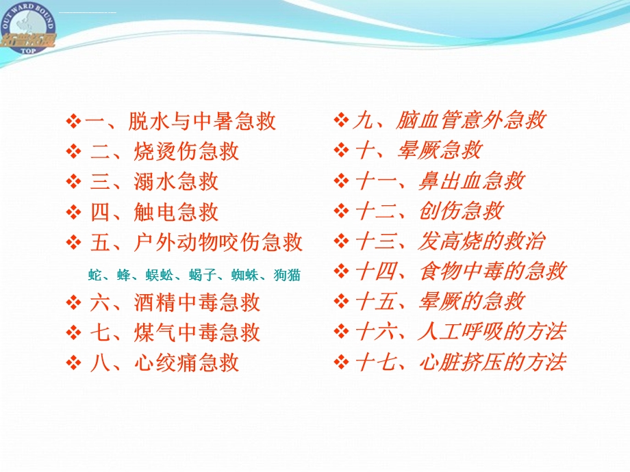 常用急救常识ppt课件.ppt_第2页