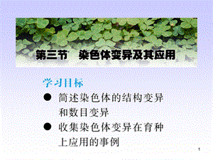 必修二第三节染色体变异及其应用[苏教版]课件.ppt