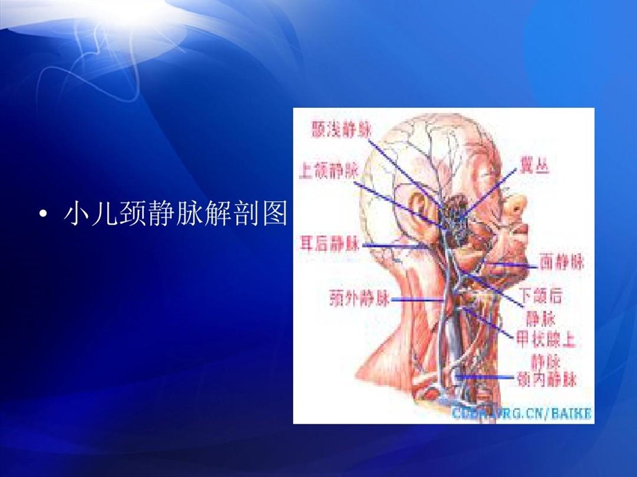 小儿颈外静脉穿刺ppt课件.ppt_第3页