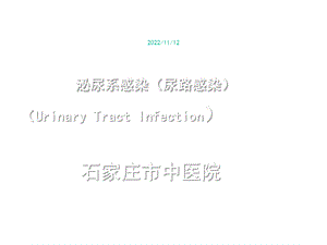 泌尿系感染尿路感染课件.ppt