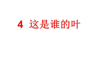 教科版一年级科学上册课件：14这是谁的叶新教材.ppt