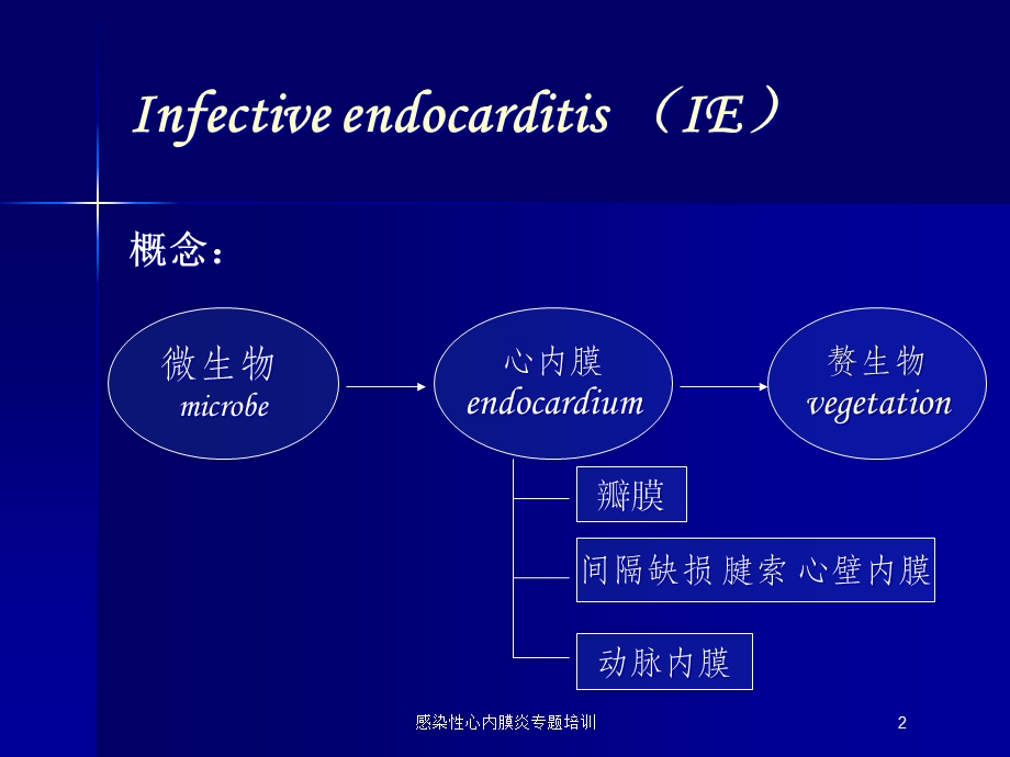 感染性心内膜炎专题培训培训课件.ppt_第2页