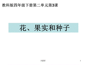 教科版四年级科学下册花果实和种子课件.ppt