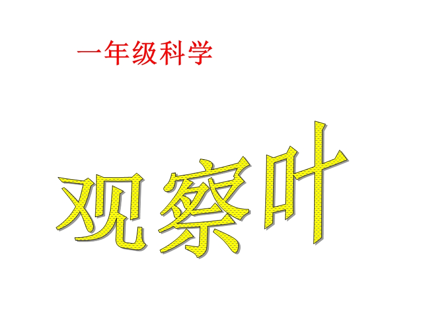 教科版一年级科学上册课件：3观察叶新教材.ppt_第1页