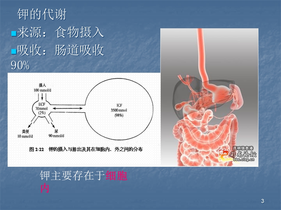 电解质的代谢异常医学课件.ppt_第3页