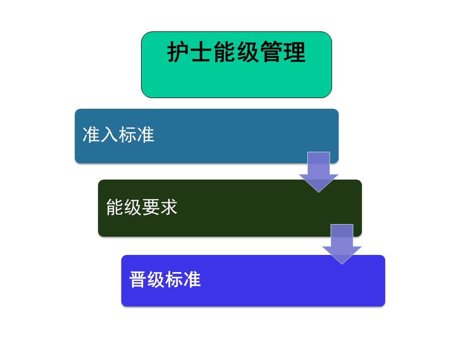 护士能级管理制度课件.ppt_第3页