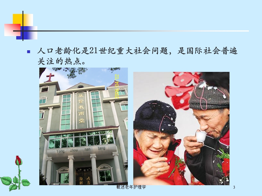 概述老年护理学培训课件.ppt_第3页