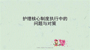 护理核心制度执行中的问题与对策课件.ppt