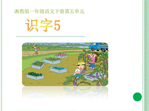 湘教版语文一年级下册《识字5》课件.ppt