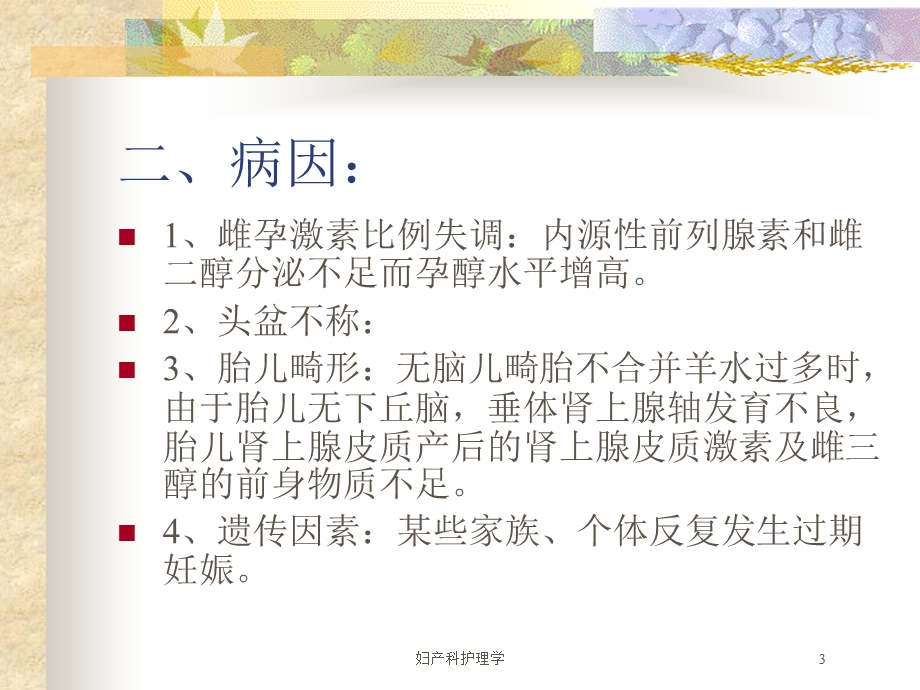 妇产科护理学培训课件.ppt_第3页