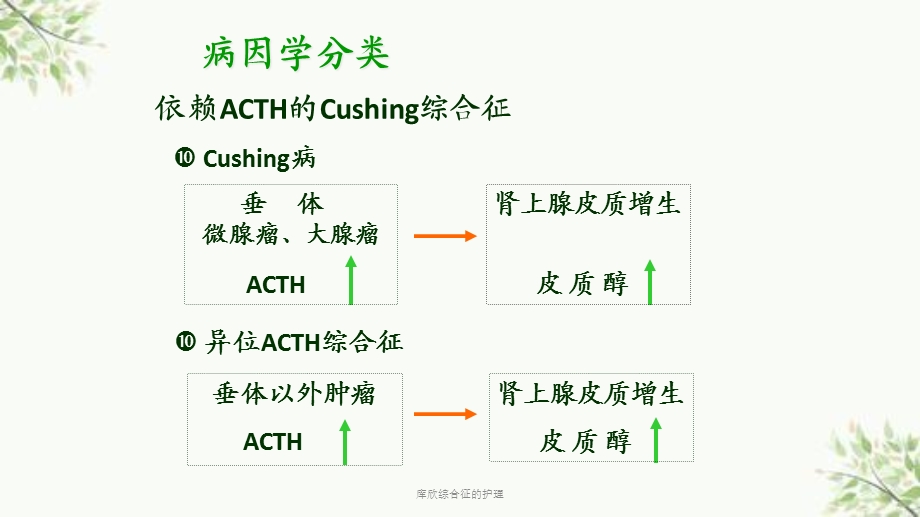 库欣综合征的护理课件.ppt_第3页