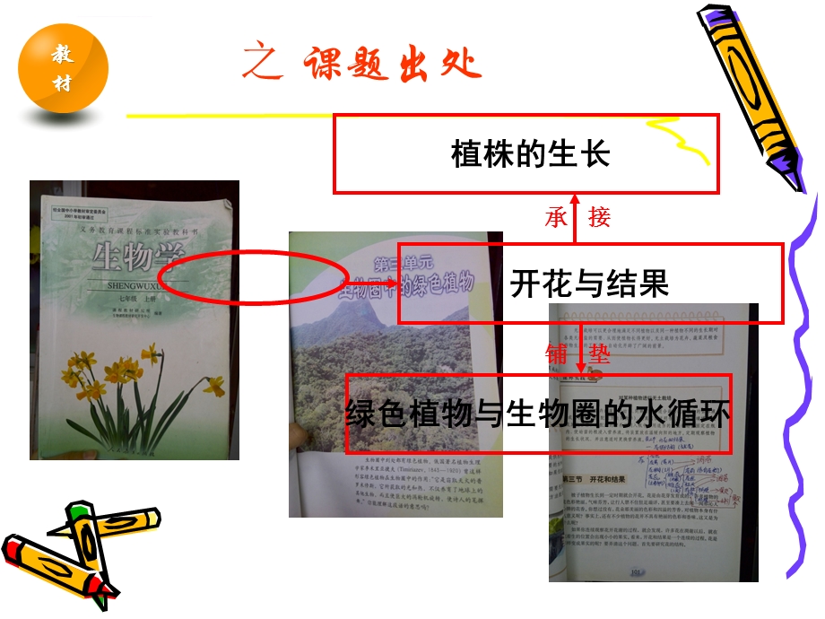 开花与结果说课ppt课件.ppt_第3页