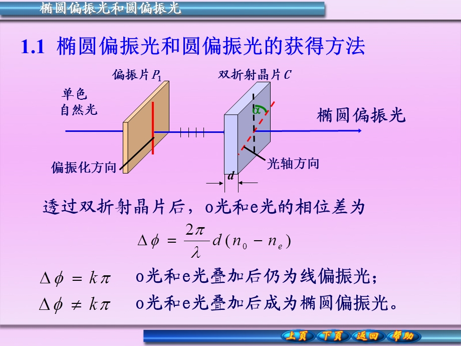 椭圆偏振光和圆偏振光偏振光的干涉ppt课件.ppt_第3页