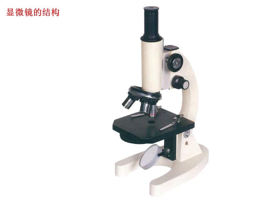 显微镜使用方法ppt课件.ppt_第2页