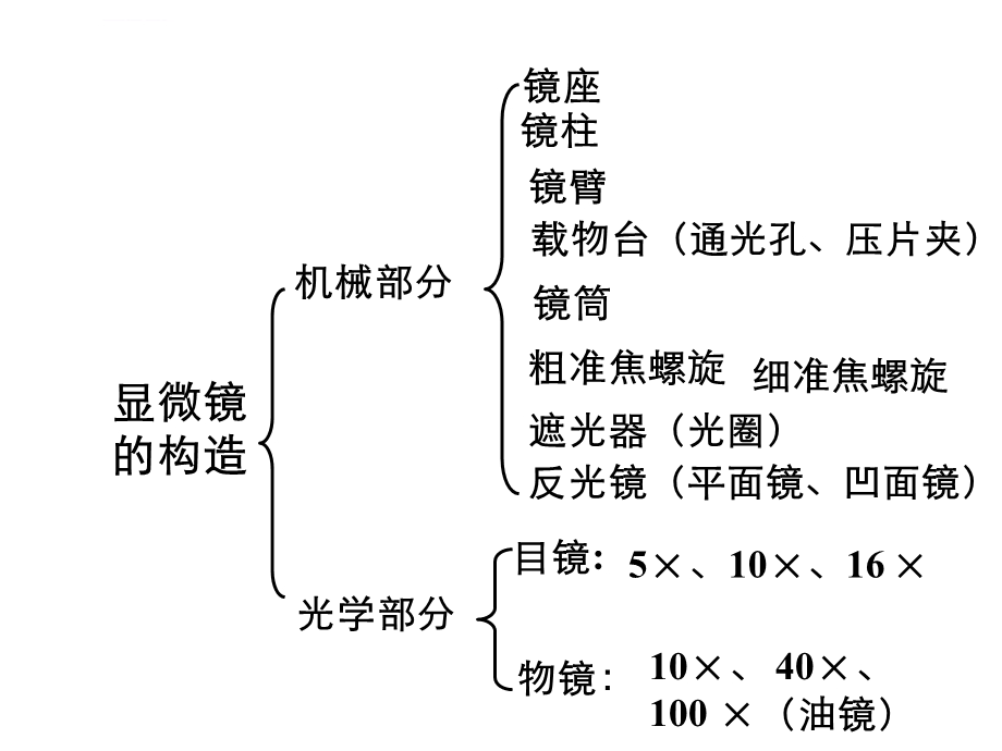 显微镜使用方法ppt课件.ppt_第3页