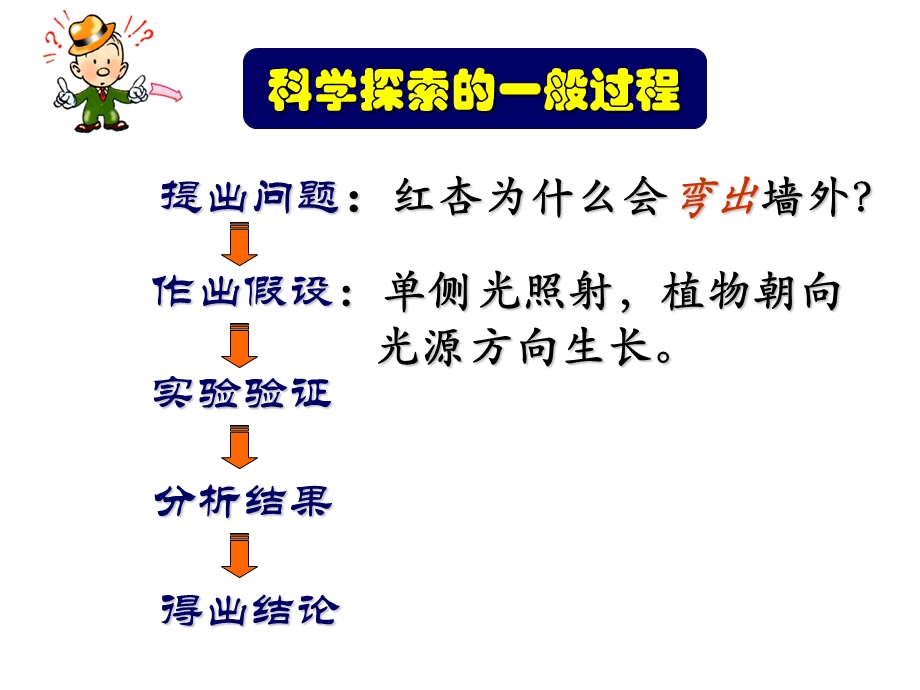 植物的激素调节（精品）ppt课件.ppt_第3页