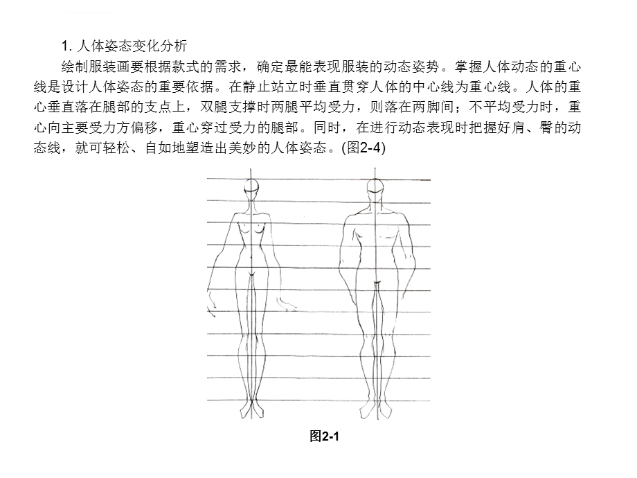 服装画第二章人体结构表现ppt课件.ppt_第3页