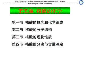 核酸的化学ppt课件.ppt