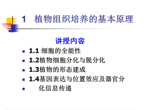 植物组织培养的基本原理分析ppt课件.ppt