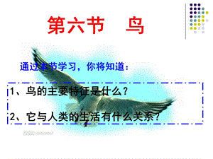 新人教版初中生物 鸟ppt课件.ppt