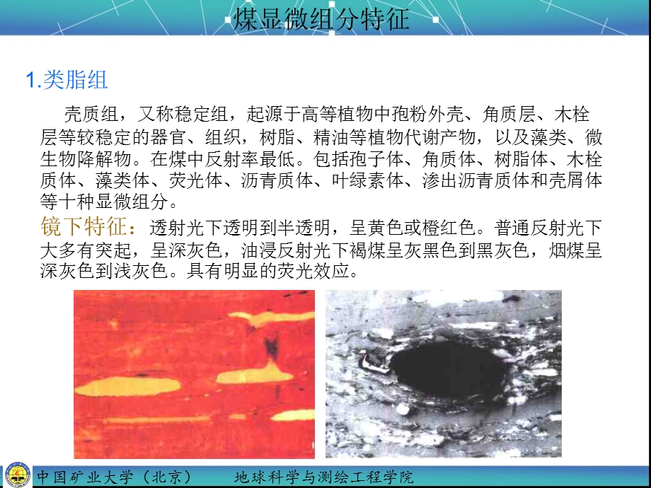 显微组分特征ppt课件.ppt_第1页