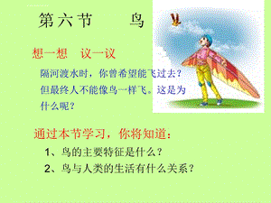 新人教版八年级生物鸟ppt课件.ppt