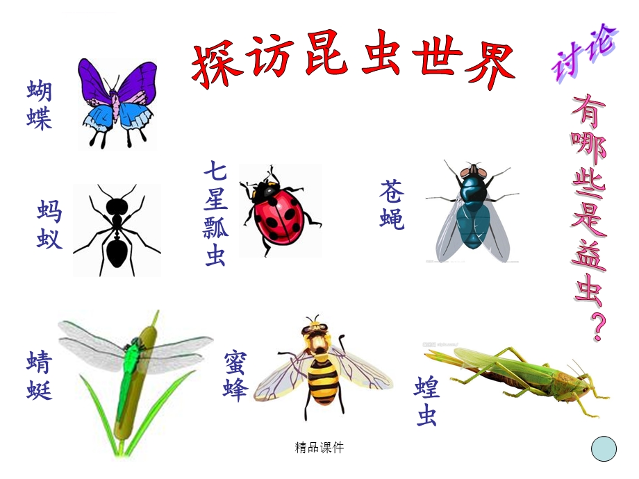 昆虫保护宣传画ppt课件.ppt_第1页