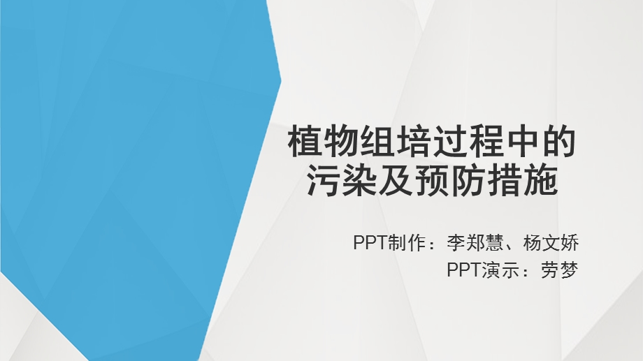 植物组培污染ppt课件.pptx_第1页