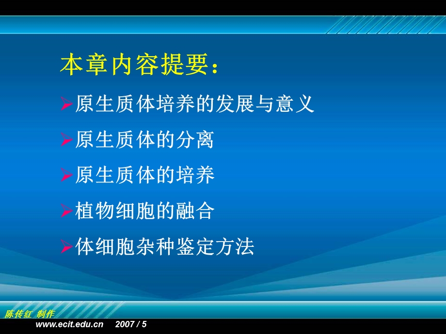 植物组织培养第七章植物原生质体培养及细胞融合ppt课件.ppt_第2页