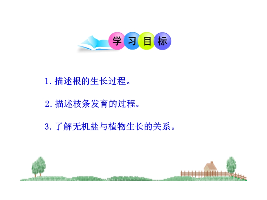 植株的生长ppt课件.ppt_第2页