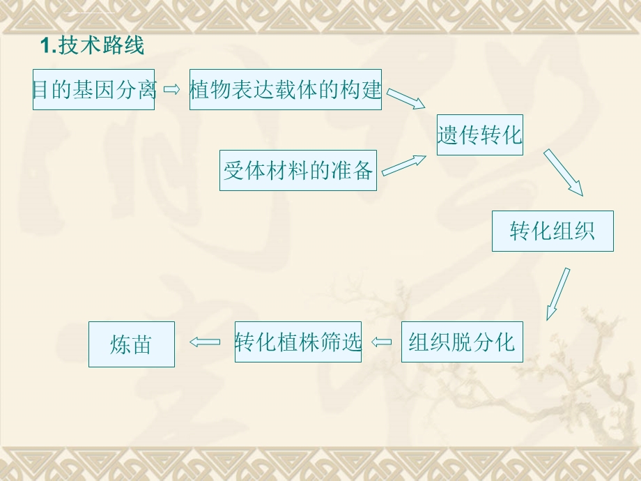 植物转基因技术原理及要点ppt课件.ppt_第3页