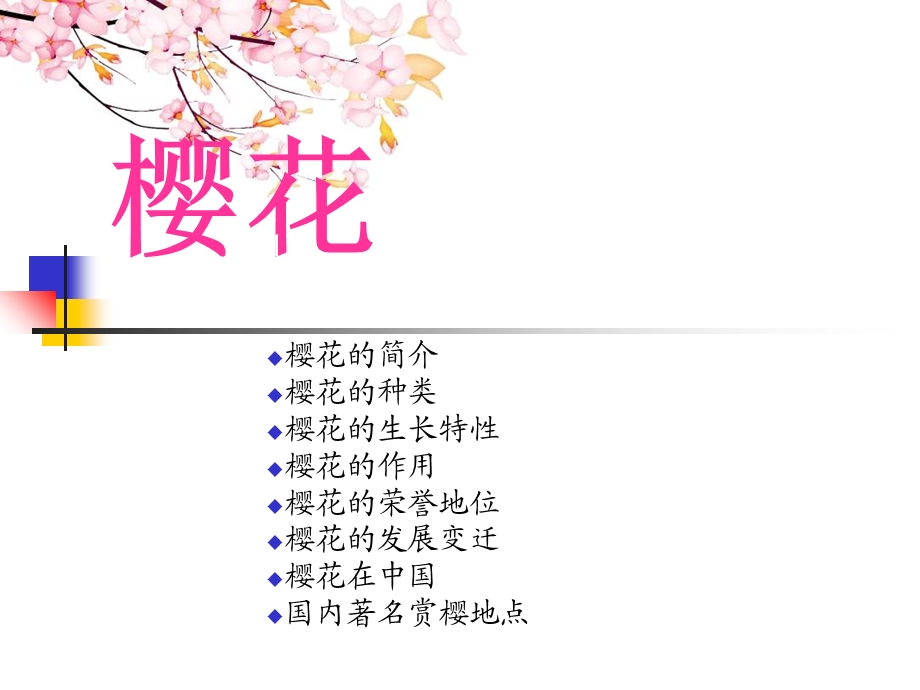 樱花知识介绍ppt课件.ppt_第1页