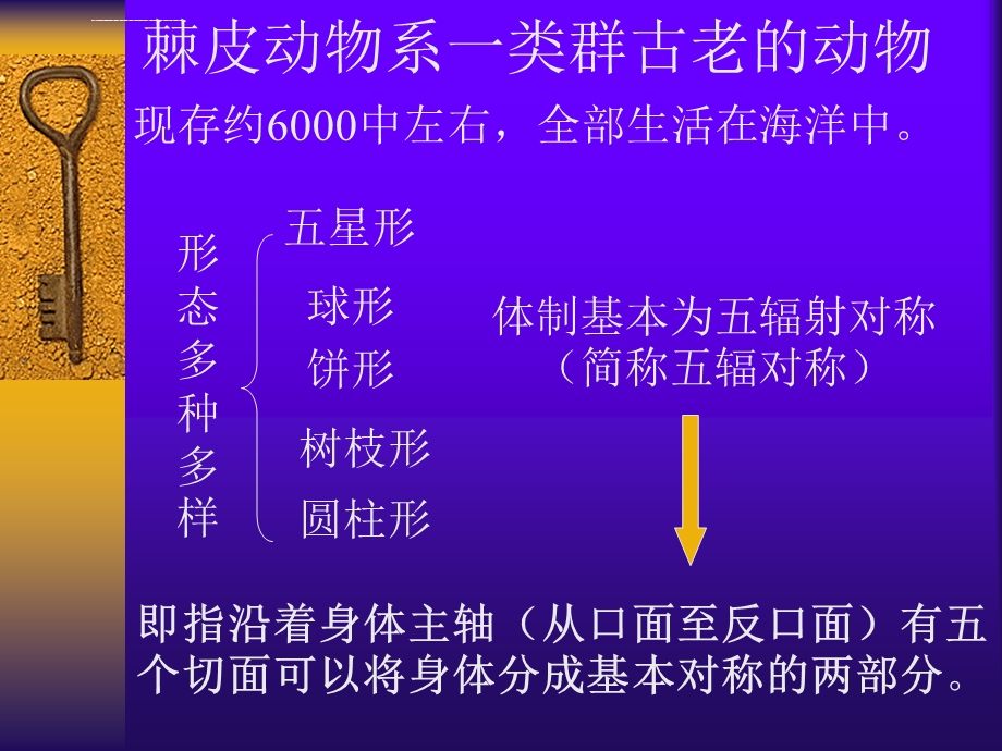 棘皮动物门的分类ppt课件.ppt_第2页