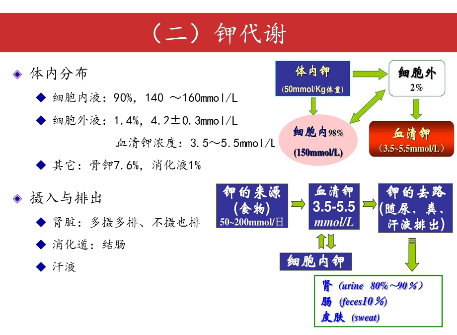 正常钾代谢及钾代谢ppt课件.ppt_第3页