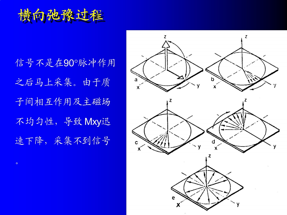 核磁共振序列简介ppt课件.ppt_第1页