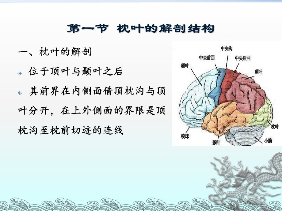 枕叶的神经心理功能及其障碍ppt课件.ppt_第3页