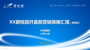 新项目策略提报模板313(碧桂园广告铺排)ppt课件.ppt