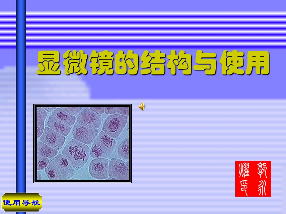 显微镜的结构与使用复习ppt课件.ppt_第1页