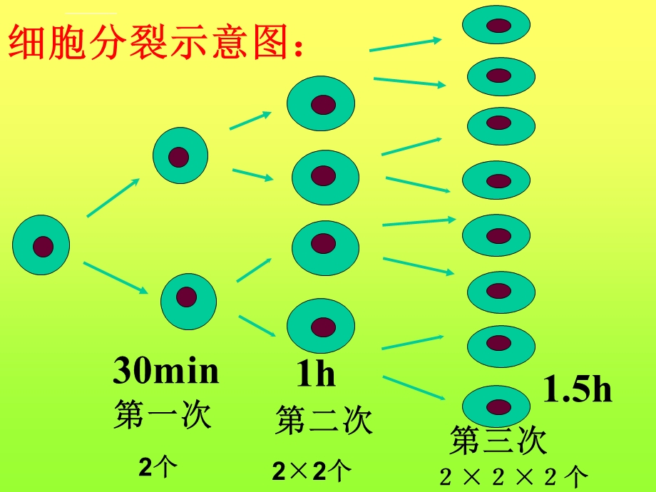 有理数的乘方(公开课)ppt课件.ppt_第3页