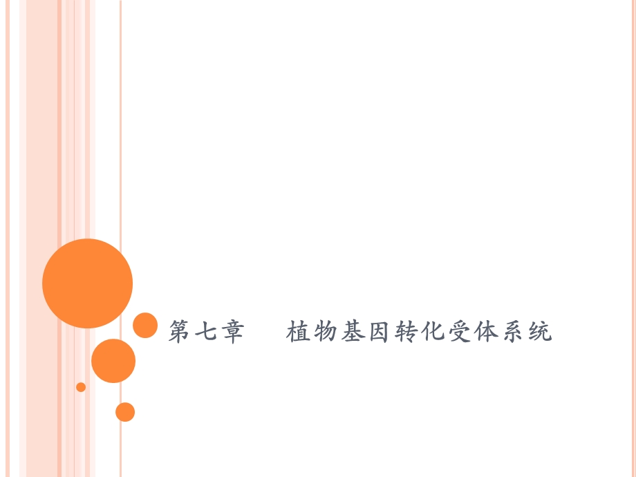 植物基因转化受体系统ppt课件.pptx_第1页