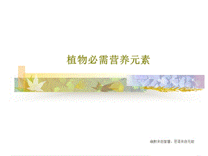 植物必需营养元素课件.ppt